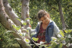 children portrait photography in eau claire soul shine photography 2608