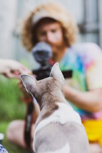 pet photography eau claire soul shine photography 2581
