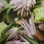 chives salad 5640