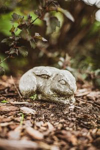 dorie gene garden portrait soul shine photography 1252