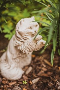 dorie gene garden portrait soul shine photography 1464