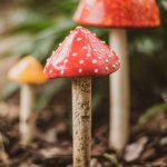 dorie gene garden portrait soul shine photography 1477