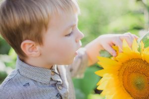sunflower mini sessions family portrait soul shine photography 5348