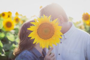 sunflower mini sessions family portrait soul shine photography 7312