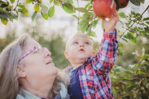 apple orchard family portraits soul shine photography 2342