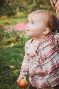apple orchard family portraits soul shine photography 2546