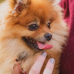 jaclyn famiy portraits autumn soul shine photography 5035