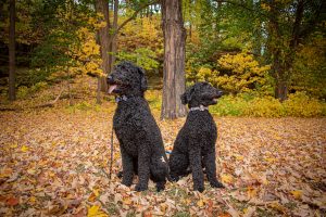 jordan family portraits autumn soul shine photography 5969
