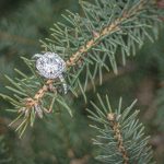 janelle randal engagement couples portrait soul shine photographer eau claire wi 7779