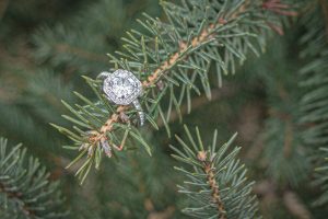 janelle randal engagement couples portrait soul shine photographer eau claire wi 7779