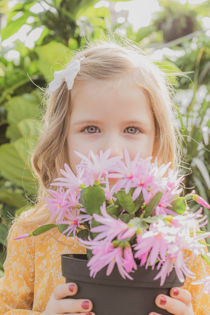 greenhouse minis family photography portraits eau claire wi soul shine photography 2580
